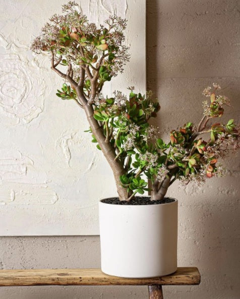 Kermodi Living Art - Parliament Interiors